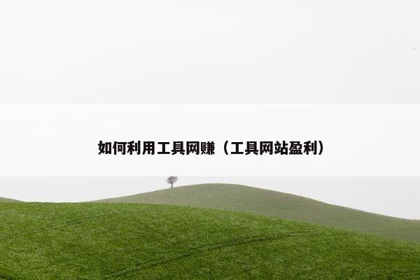 如何利用工具网赚（工具网站盈利）