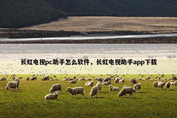长虹电视pc助手怎么软件，长虹电视助手app下载