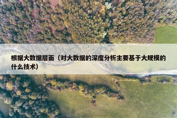 根据大数据层面（对大数据的深度分析主要基于大规模的什么技术）