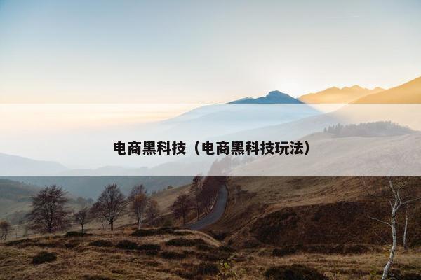 电商黑科技（电商黑科技玩法）