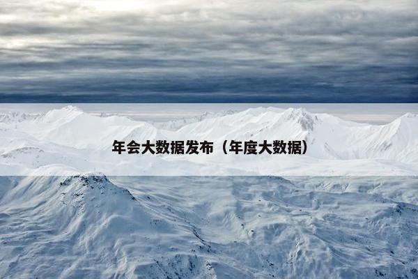 年会大数据发布（年度大数据）