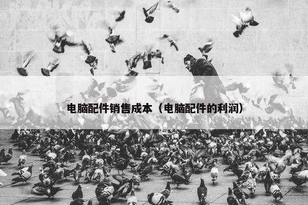 电脑配件销售成本（电脑配件的利润）
