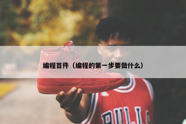 编程首件（编程的第一步要做什么）