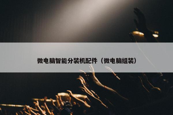 微电脑智能分装机配件（微电脑组装）