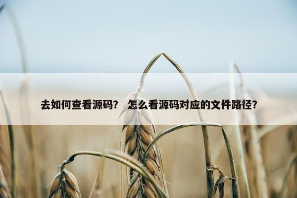 去如何查看源码？ 怎么看源码对应的文件路径？