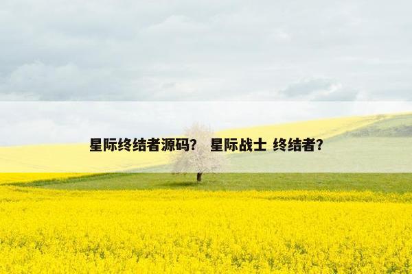 星际终结者源码？ 星际战士 终结者？