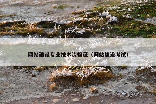 网站建设专业技术资格证（网站建设考试）