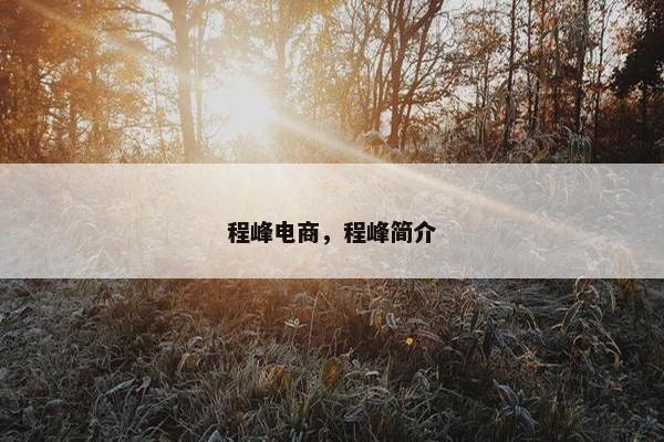 程峰电商，程峰简介