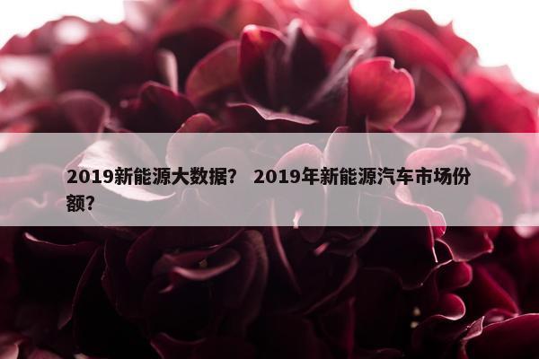 2019新能源大数据？ 2019年新能源汽车市场份额？