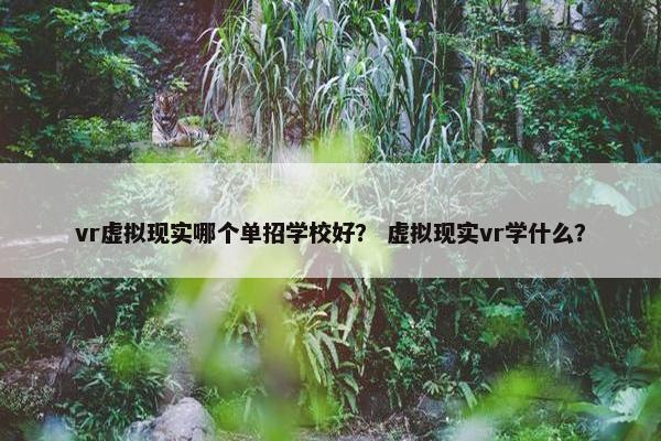 vr虚拟现实哪个单招学校好？ 虚拟现实vr学什么？