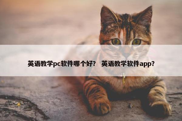 英语教学pc软件哪个好？ 英语教学软件app？