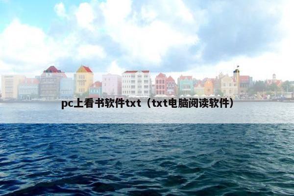 pc上看书软件txt（txt电脑阅读软件）