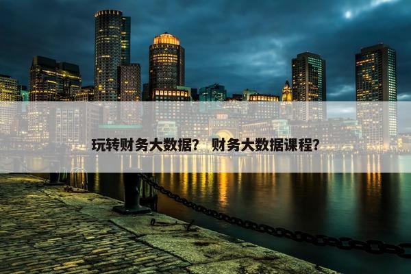 玩转财务大数据？ 财务大数据课程？