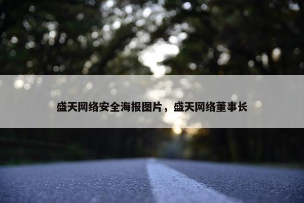 盛天网络安全海报图片，盛天网络董事长
