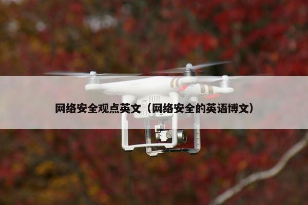 网络安全观点英文（网络安全的英语博文）