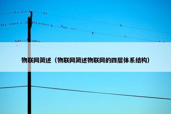物联网简述（物联网简述物联网的四层体系结构）