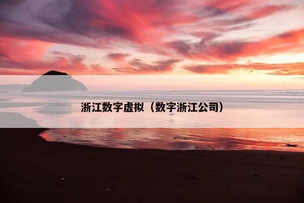 浙江数字虚拟（数字浙江公司）