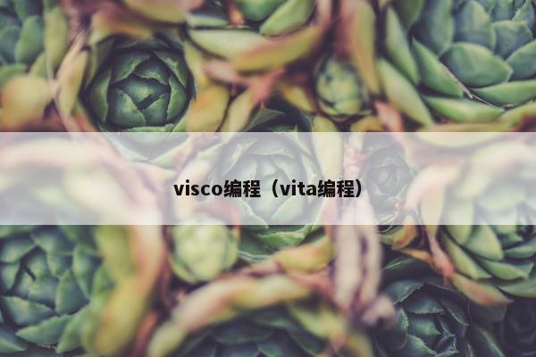 visco编程（vita编程）