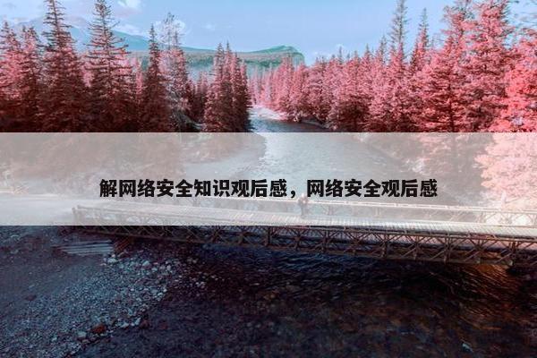 解网络安全知识观后感，网络安全观后感