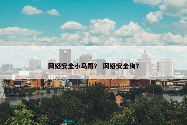 网络安全小马哥？ 网络安全狗？