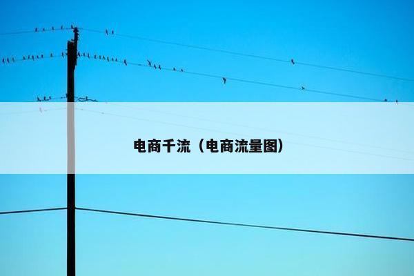 电商千流（电商流量图）