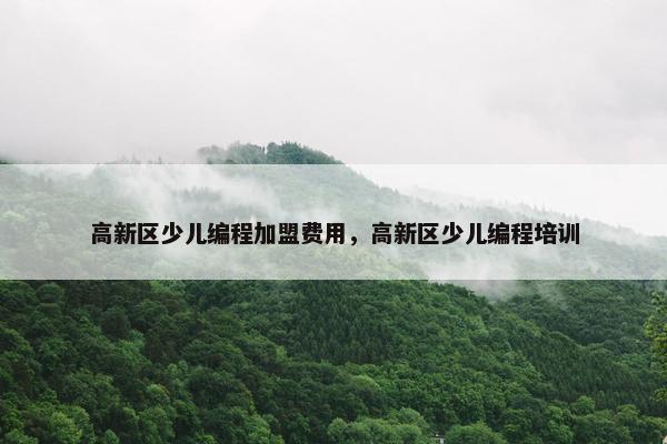 高新区少儿编程加盟费用，高新区少儿编程培训