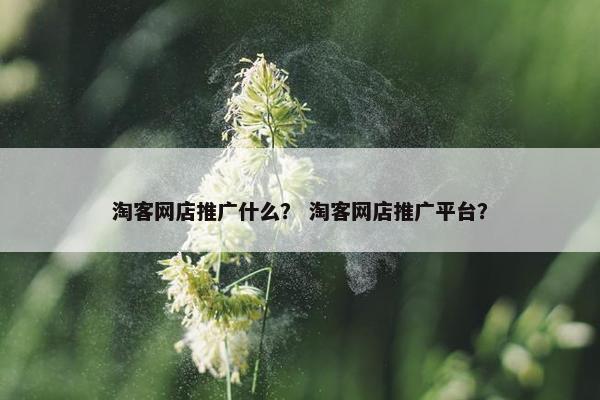 淘客网店推广什么？ 淘客网店推广平台？