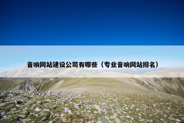 音响网站建设公司有哪些（专业音响网站排名）
