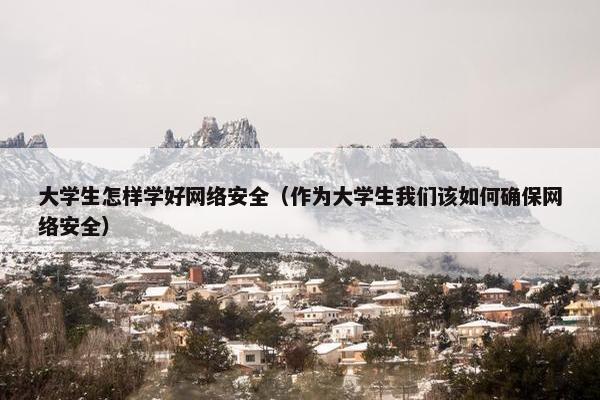 大学生怎样学好网络安全（作为大学生我们该如何确保网络安全）