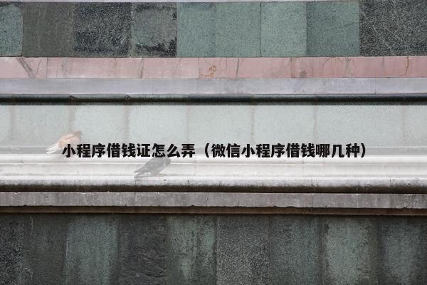 小程序借钱证怎么弄（微信小程序借钱哪几种）