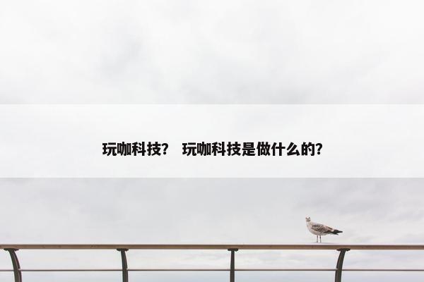 玩咖科技？ 玩咖科技是做什么的？