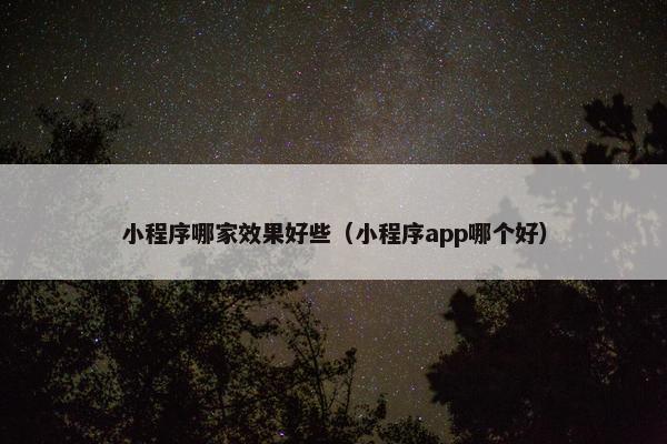 小程序哪家效果好些（小程序app哪个好）
