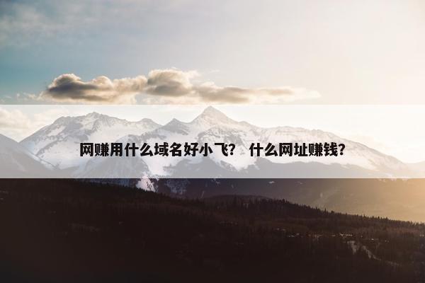 网赚用什么域名好小飞？ 什么网址赚钱？