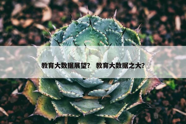 教育大数据展望？ 教育大数据之大？