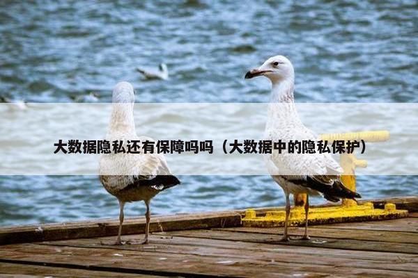 大数据隐私还有保障吗吗（大数据中的隐私保护）