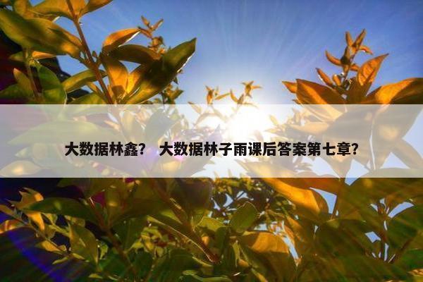 大数据林鑫？ 大数据林子雨课后答案第七章？