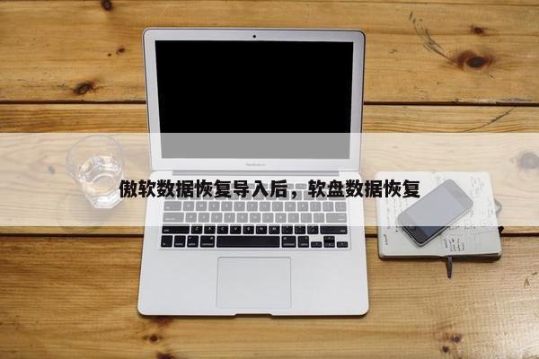 傲软数据恢复导入后，软盘数据恢复