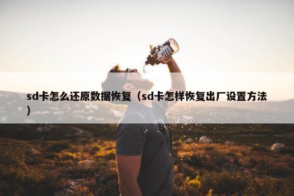 sd卡怎么还原数据恢复（sd卡怎样恢复出厂设置方法）