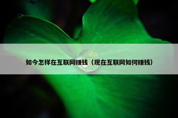 如今怎样在互联网赚钱（现在互联网如何赚钱）