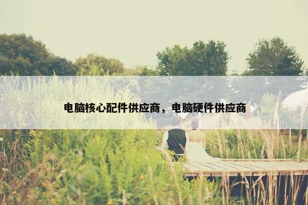 电脑核心配件供应商，电脑硬件供应商