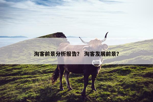 淘客前景分析报告？ 淘客发展前景？
