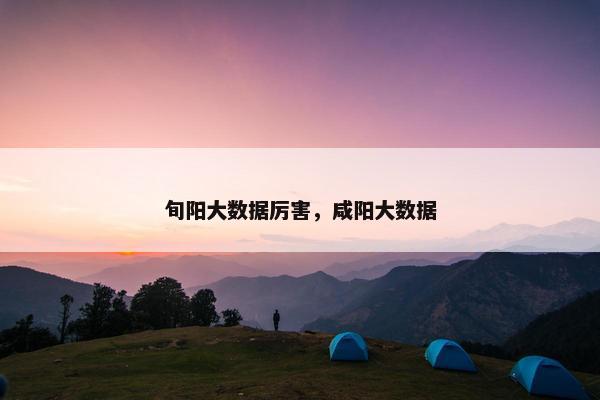 旬阳大数据厉害，咸阳大数据