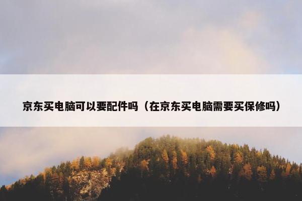 京东买电脑可以要配件吗（在京东买电脑需要买保修吗）