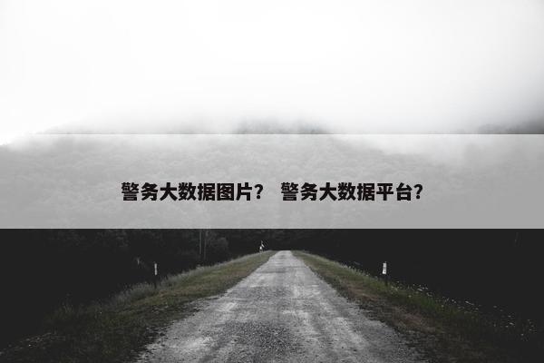 警务大数据图片？ 警务大数据平台？