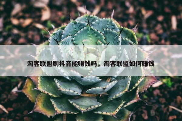 淘客联盟刷抖音能赚钱吗，淘客联盟如何赚钱