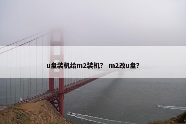 u盘装机给m2装机？ m2改u盘？