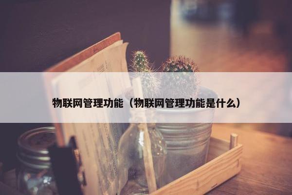 物联网管理功能（物联网管理功能是什么）