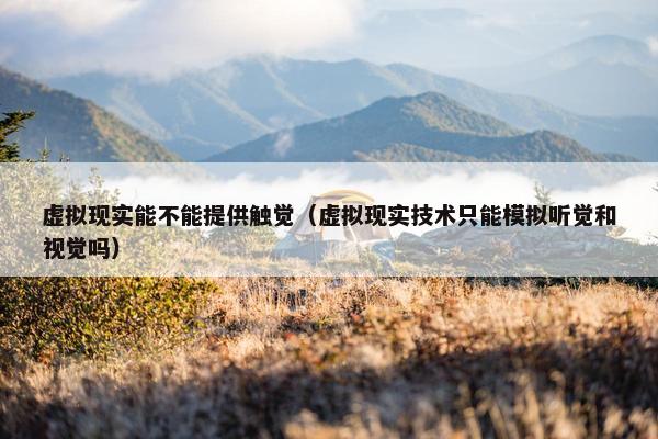 虚拟现实能不能提供触觉（虚拟现实技术只能模拟听觉和视觉吗）