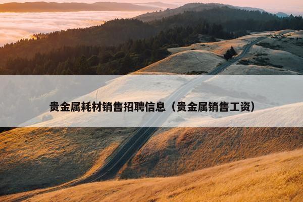 贵金属耗材销售招聘信息（贵金属销售工资）