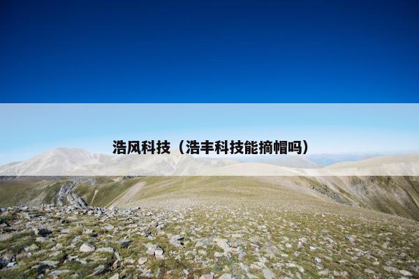 浩风科技（浩丰科技能摘帽吗）